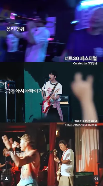 너트30 페스티벌 공연 포스터