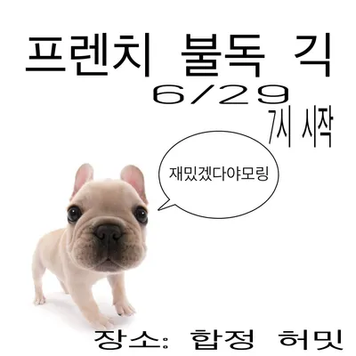 프렌치 불독 긱 공연 포스터